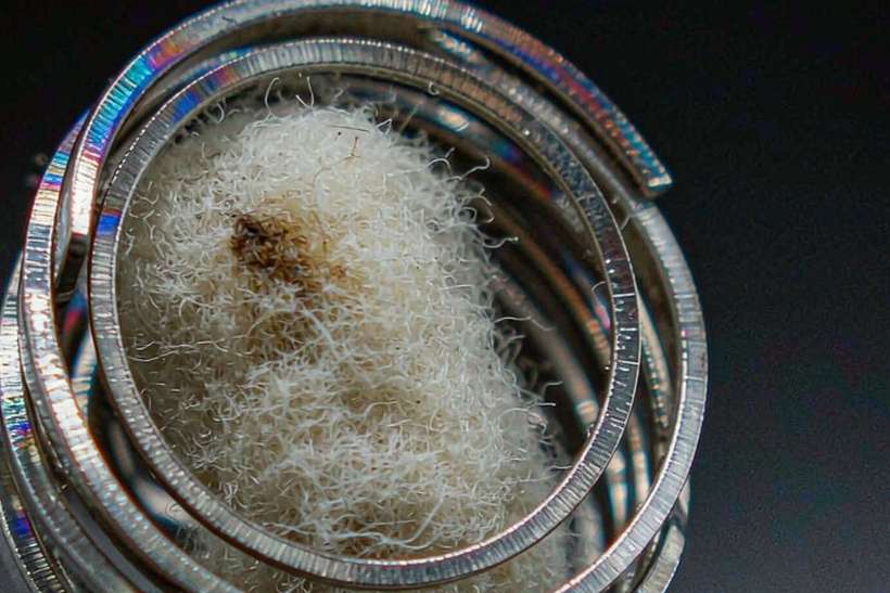 Glossary of Aeku pods — Asia Pacific